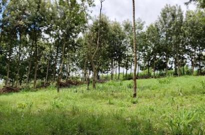 One Acre Parcels in Ngong Kahara.
