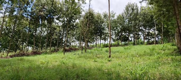 One Acre Parcels in Ngong Kahara.