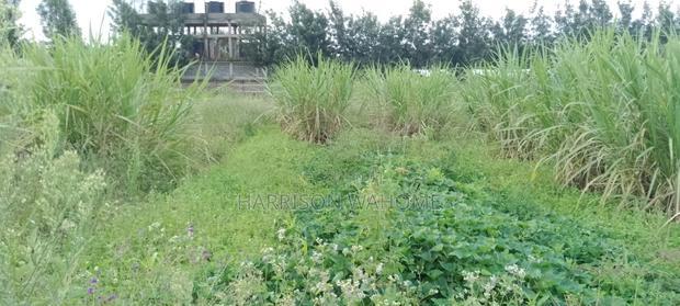 50*100 Plot for Sale in Ngong Kibiko.