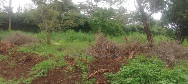 Sale:Quarter Acre Touching Tarmarc Along St. Patrick's Road