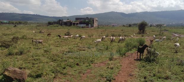 2 Parcels of Quarter Acres for Sale in Ngong Kimuka Town