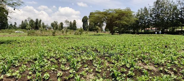 Plots for Sale in Ngong Matasia Merisho Road