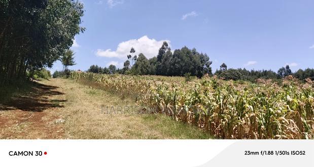 Plots for Sale in Limuru, Gitangu, Kiambu County.