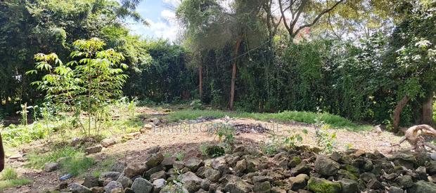 50*100 Plots for Sale in Kerarapon Drive.