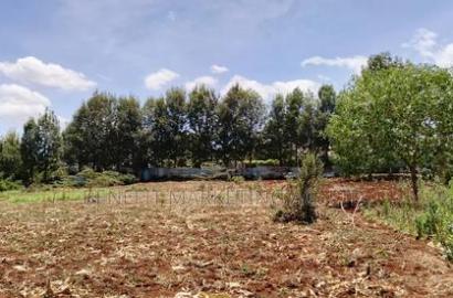 12 Acres for Sale in Kerarapon Drive.