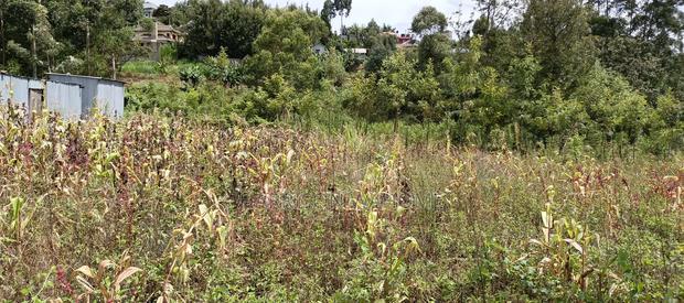 Plots for Sale in Ngong Matasia Barabara Mpya