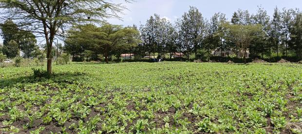 Plots for Sale in Ngong Matasia Merisho Road