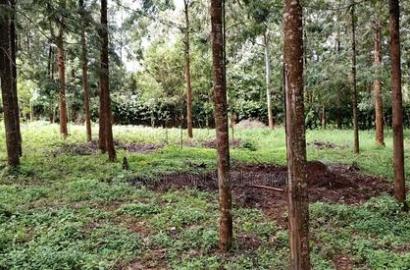 50*100 Plot for Sale in Ngong Kibiko