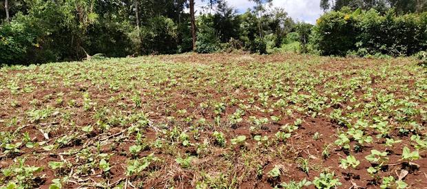 Eigth Acre Plot for Sale in Ngong Upper Matasia.