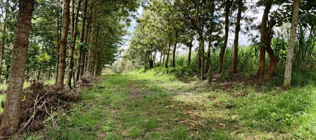 One Acre Parcels in Ngong Kahara.