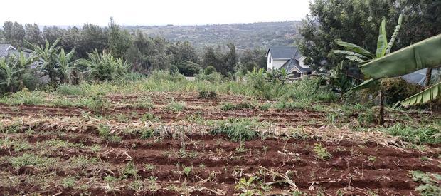 Half Acre Plot for Sale in Ngong Maragara Road.