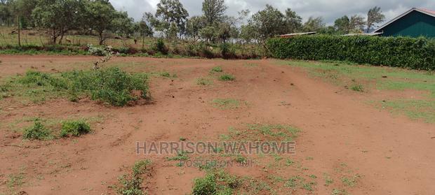 Ngong Kibiko Scenic Plots
