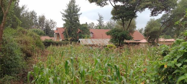 Quarter Acre Plot For Sale In Ngong Kibiko.