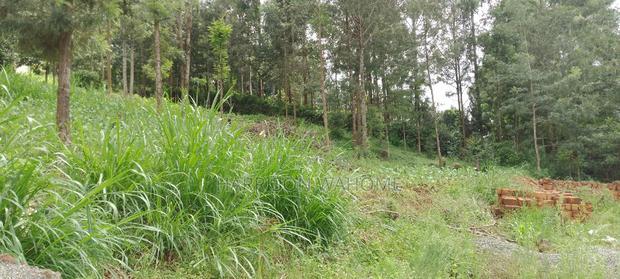 Quarter Acre Plot for Sale in Ngong Kerarapon Drive.