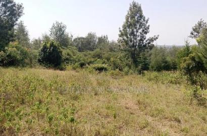 Quarter Acre Plot for Sale in Rongai, Kahuho.