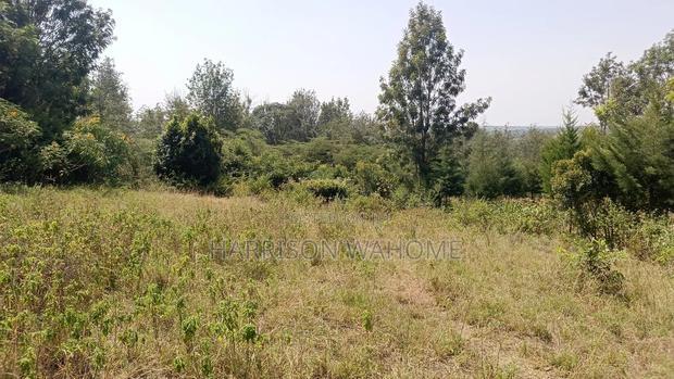 Quarter Acre Plot for Sale in Rongai, Kahuho.