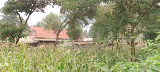 Quarter Acre Plot For Sale In Ngong Kibiko.