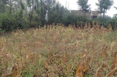 1/8 Acre for Sale in Ngong Lemiso Road