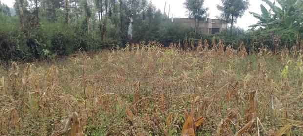 1/8 Acre for Sale in Ngong Lemiso Road