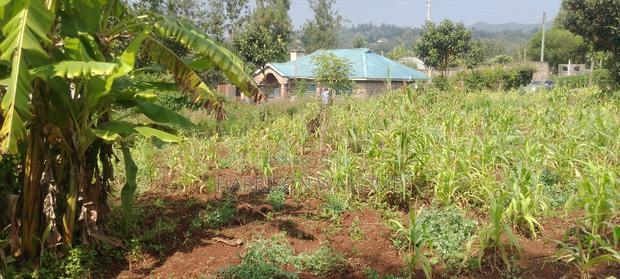 Residential Plots for Sale in Ngong