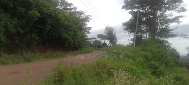 Sale:Quarter Acre Touching Tarmarc Along St. Patrick's Road