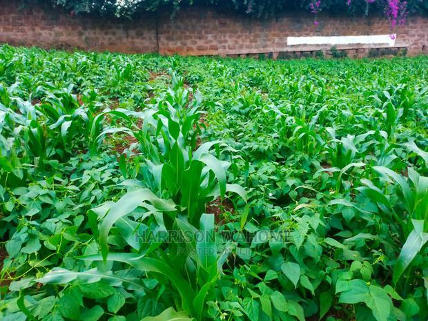Kiambaa, 1/4 Acre for Sale.Next to St Joseph Catholic Church