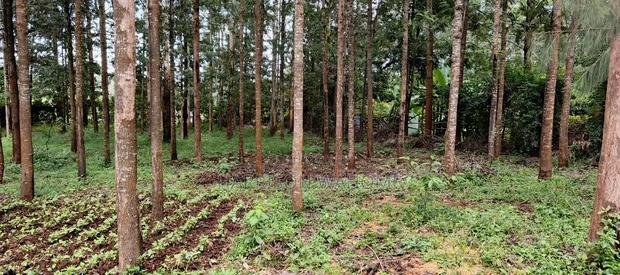 50*100 Plot for Sale in Ngong Kibiko