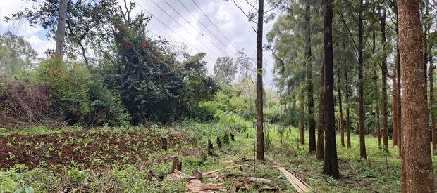 50*100 Plot for Sale in Ngong Kibiko