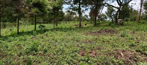 Quarter Acre Plots for Sale in Ngong Kahara Centre