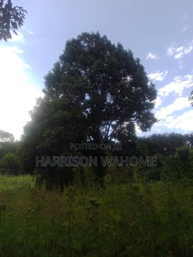 Residential Plot for Sale in Ngong