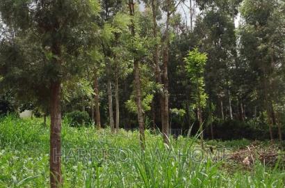 Quarter Acre Plot for Sale in Ngong Kerarapon Drive.