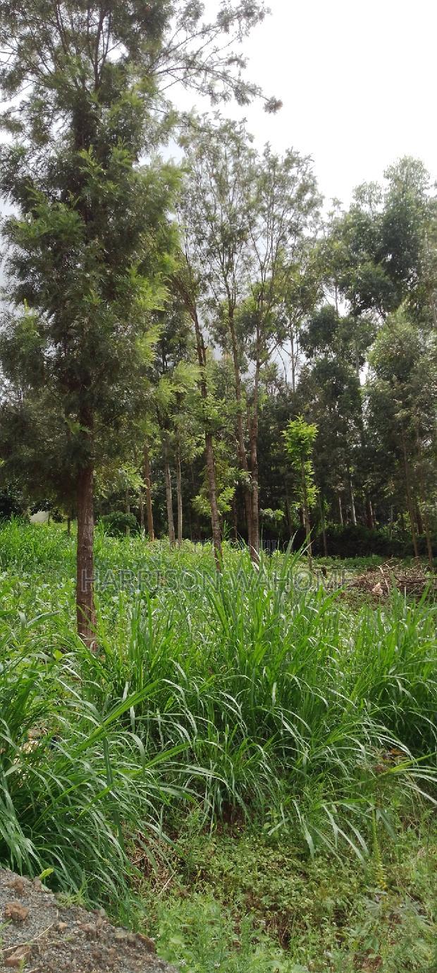 Quarter Acre Plot for Sale in Ngong Kerarapon Drive.