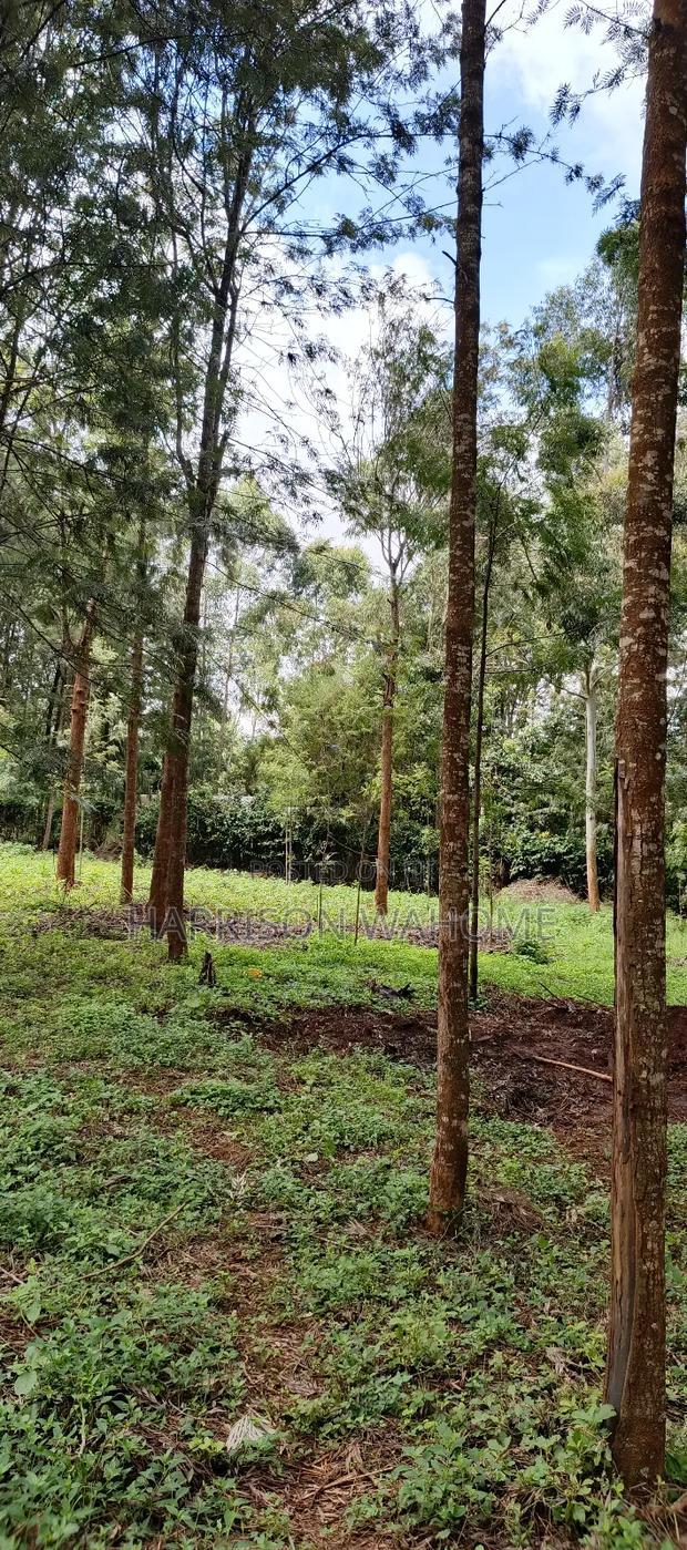 50*100 Plot for Sale in Ngong Kibiko