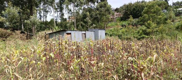 Plots for Sale in Ngong Matasia Barabara Mpya
