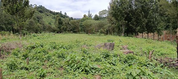 Quarter Acre Plots for Sale in Ngong Kahara Centre