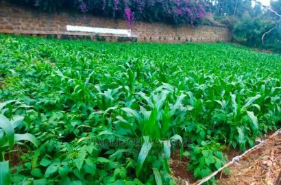 Kiambaa, 1/4 Acre for Sale.Next to St Joseph Catholic Church