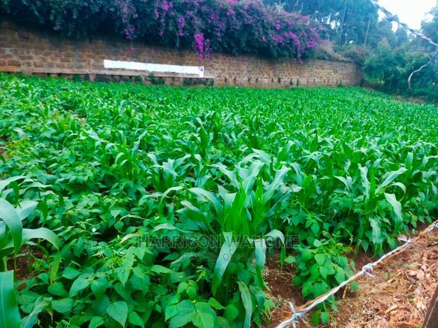 Kiambaa, 1/4 Acre for Sale.Next to St Joseph Catholic Church