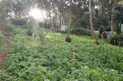 Eigth Acre Plot for Sale in Ngong Matasia.