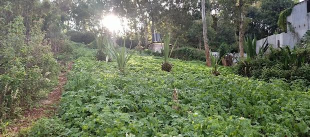 Eigth Acre Plot for Sale in Ngong Matasia.