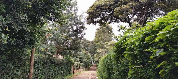 Kerarapon Drive Plot for Sale
