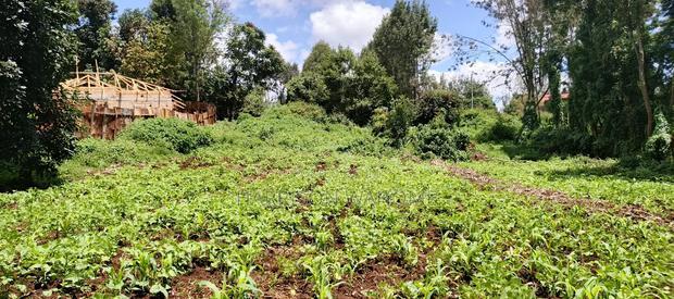 Quarter Acre Plot for Sale in Ngong Matasia.