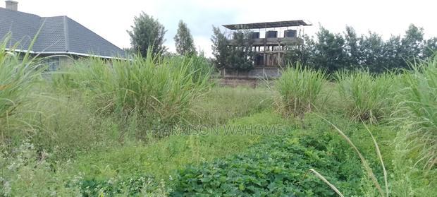 50*100 Plot for Sale in Ngong Kibiko.