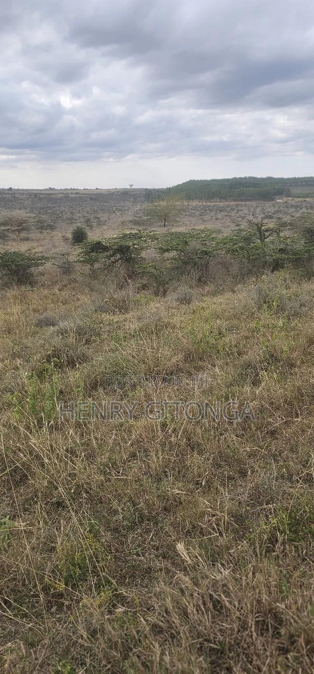 Kipeto Kajiado 20 Acres for Sale