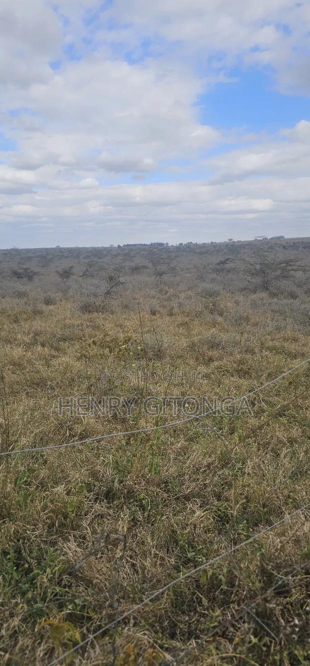 Kipeto Kajiado 20 Acres for Sale