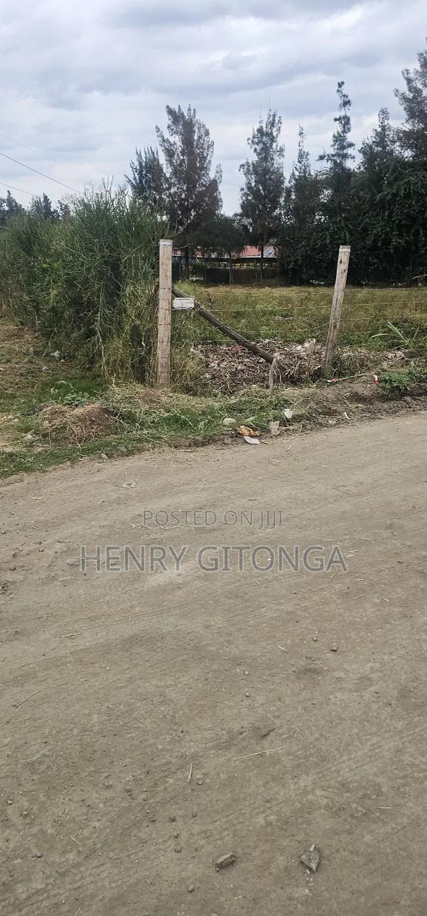 Southern Bypass 1/2 Acre Plot