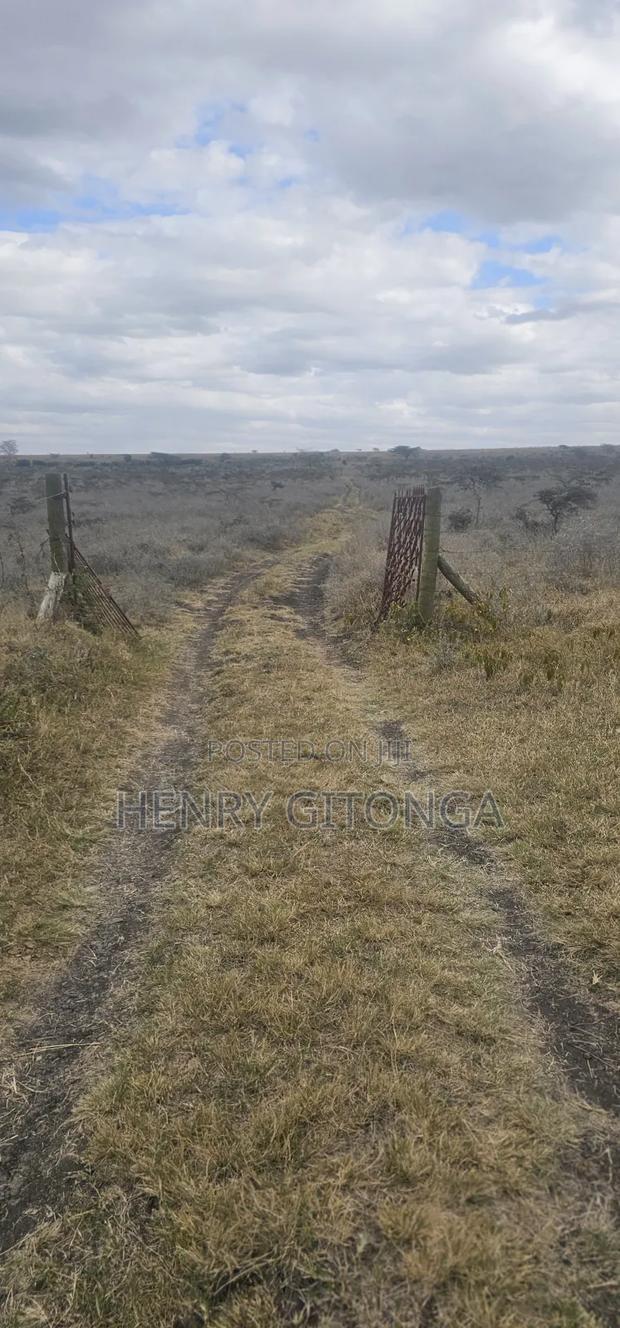 Kipeto Kajiado 20 Acres for Sale