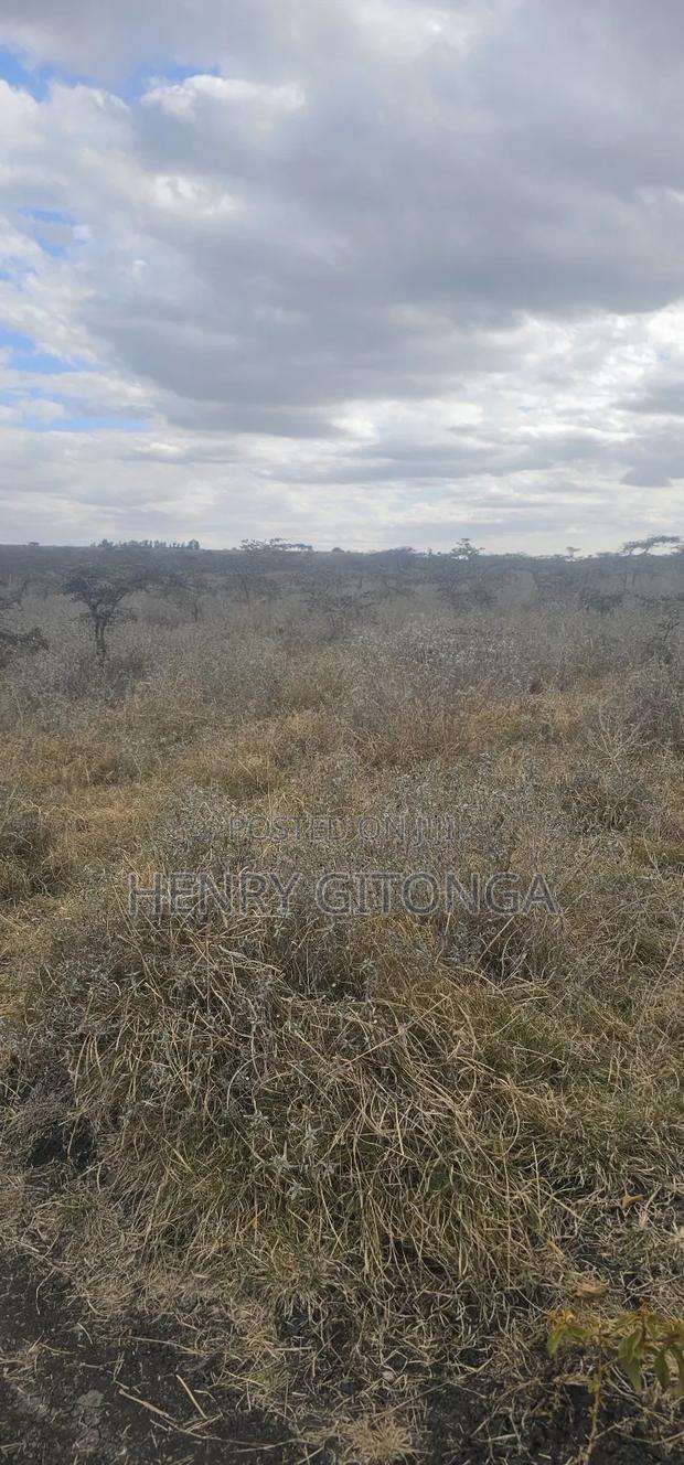 Kipeto Kajiado 20 Acres for Sale