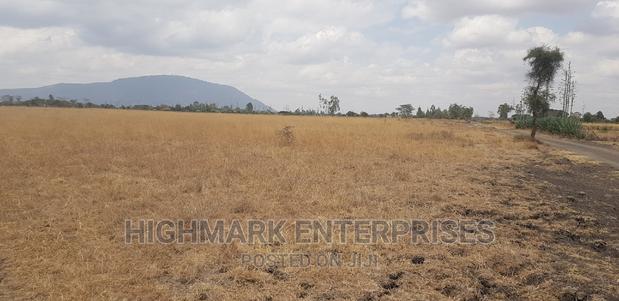 14 Acres for Sale in Malaa