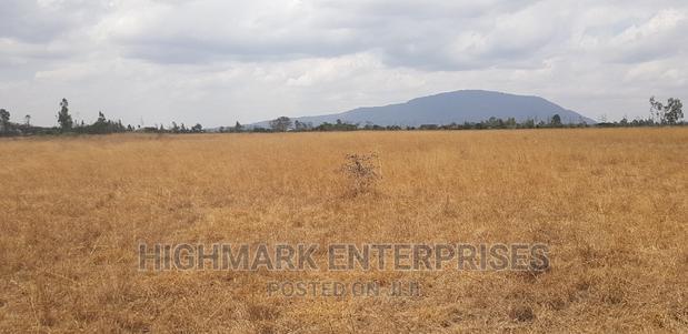 14 Acres for Sale in Malaa