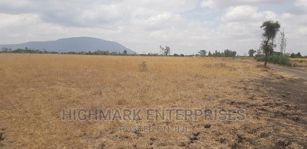 14 Acres for Sale in Malaa